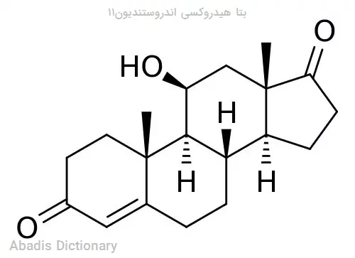 ۱۱بتا هیدروکسی اندروستندیون